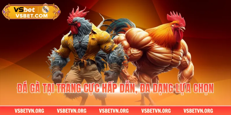 Đá gà tại trang cực hấp dẫn, đa dạng lựa chọn