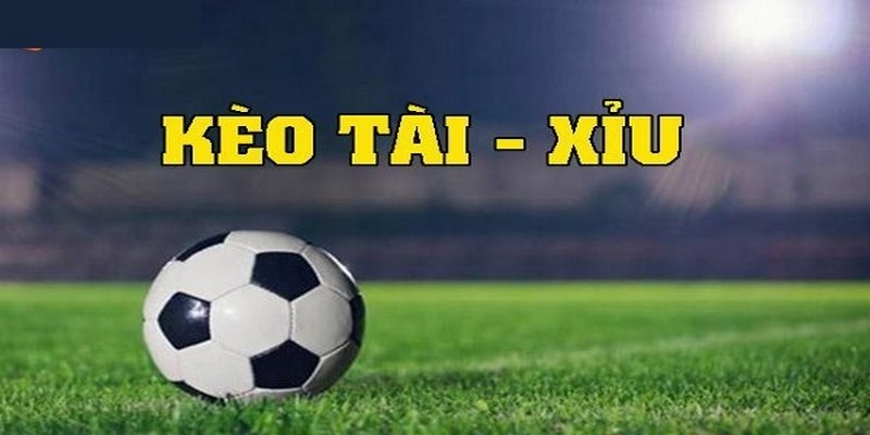 Cần chú ý một số thông tin quan trọng khi tham gia chơi